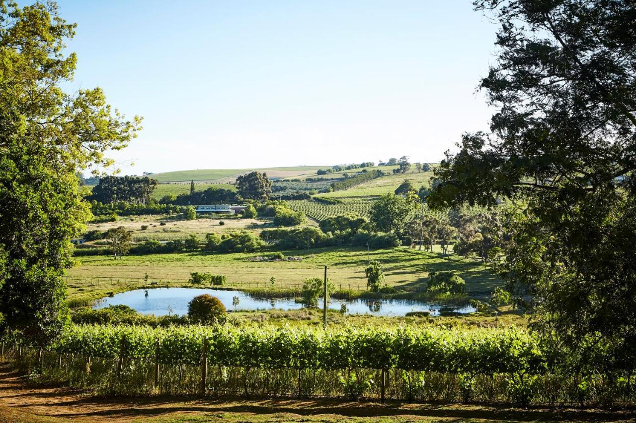 The Devon Valley Hotel Stellenbosch Buitenkant foto