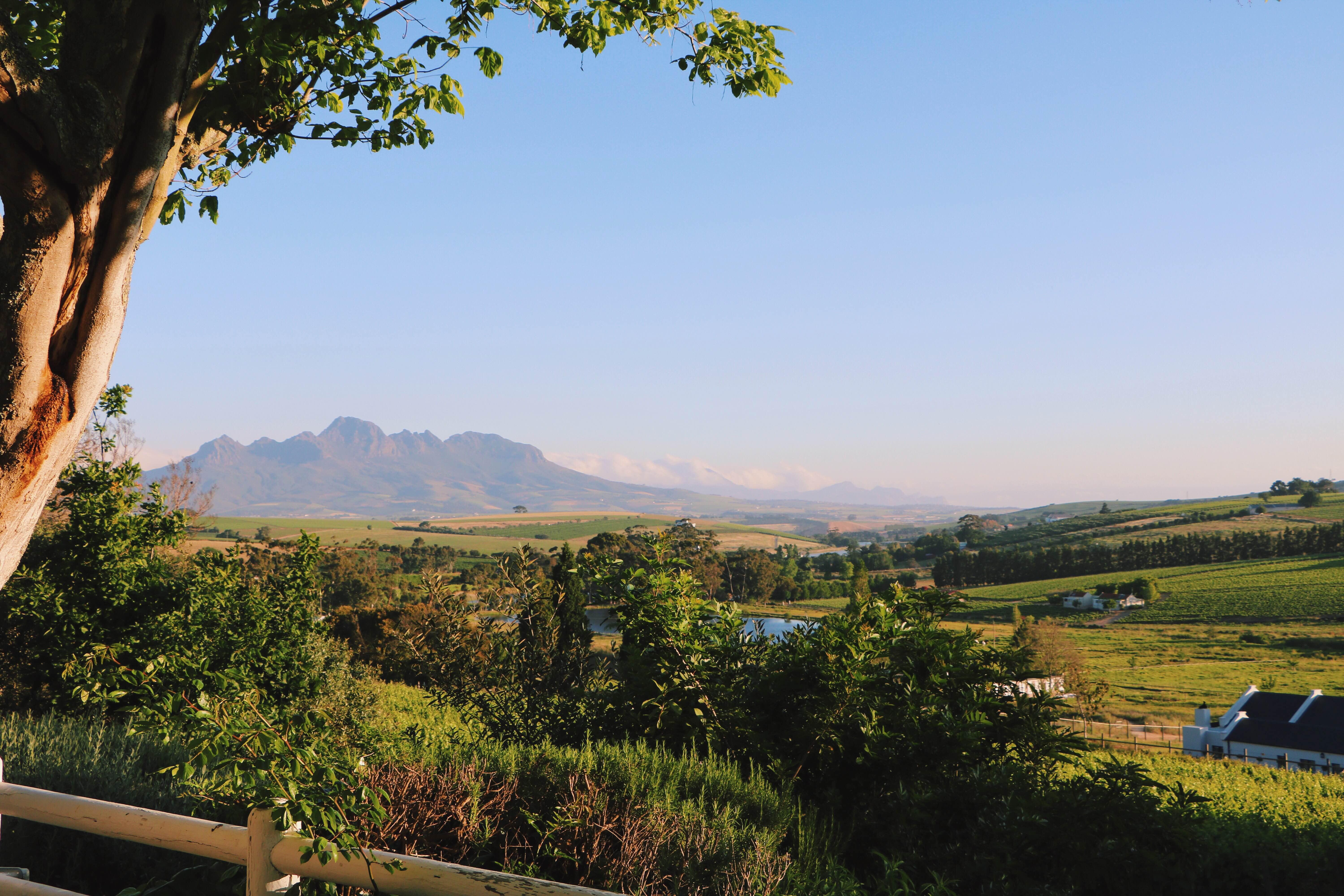 The Devon Valley Hotel Stellenbosch Buitenkant foto