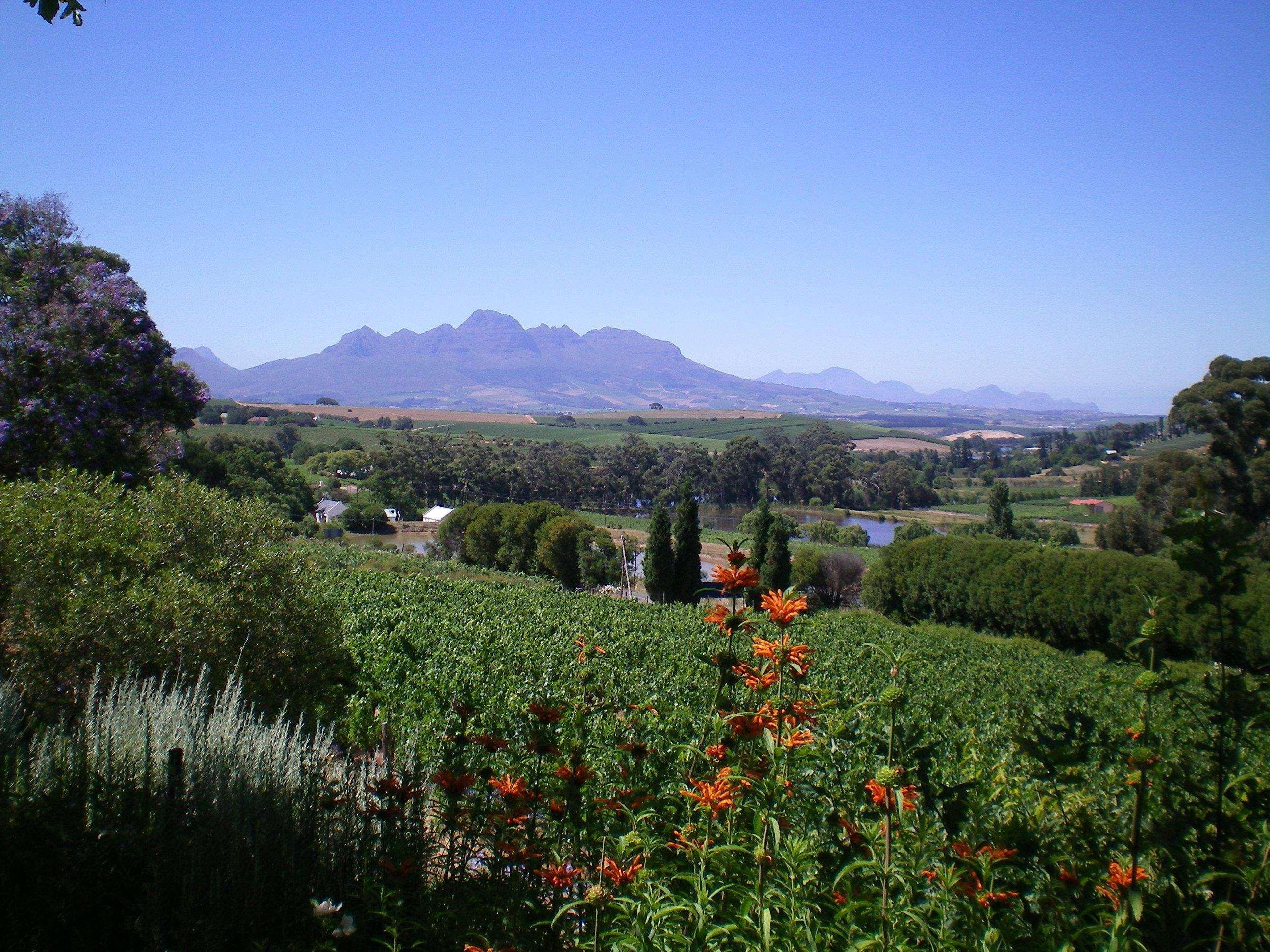 The Devon Valley Hotel Stellenbosch Buitenkant foto