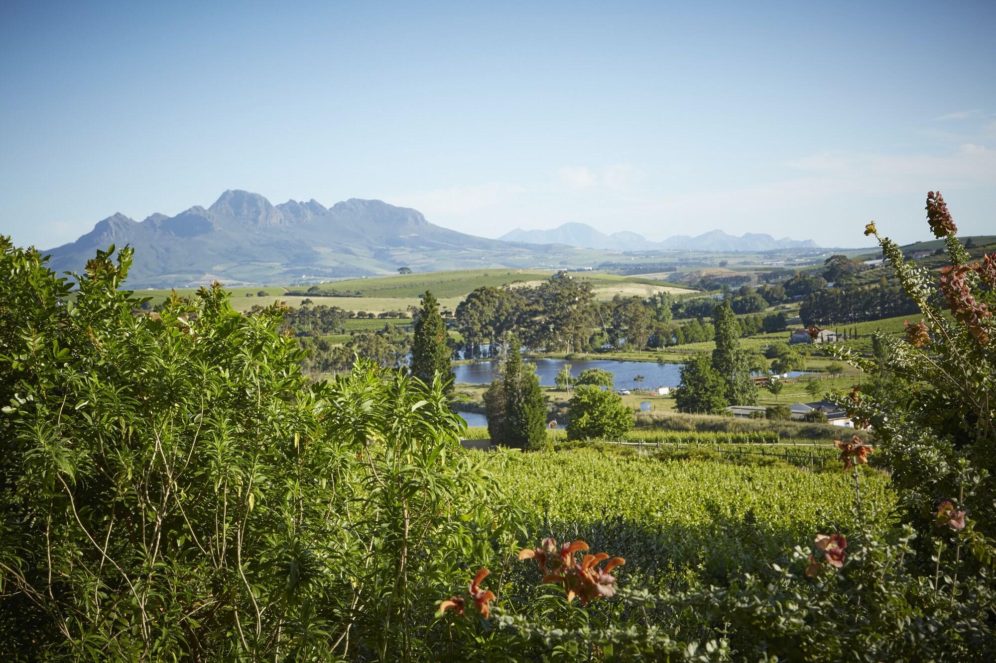The Devon Valley Hotel Stellenbosch Buitenkant foto